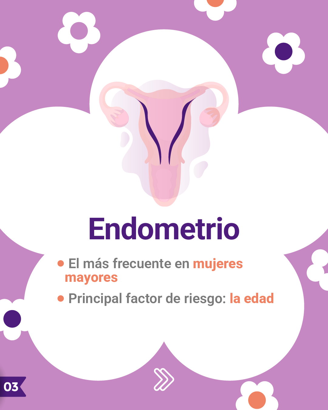 Pack_Infografías_8M_1.3