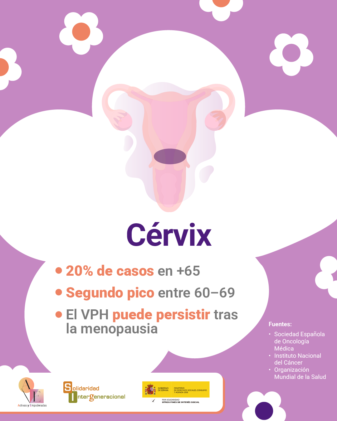 Pack_Infografías_8M_1.5